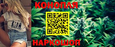 PSILOCYBIN Будённовск